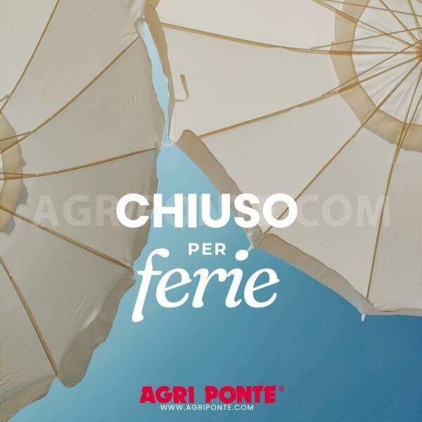 Buone Vacanze!