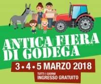 Antica Fiera di Godega 2018
