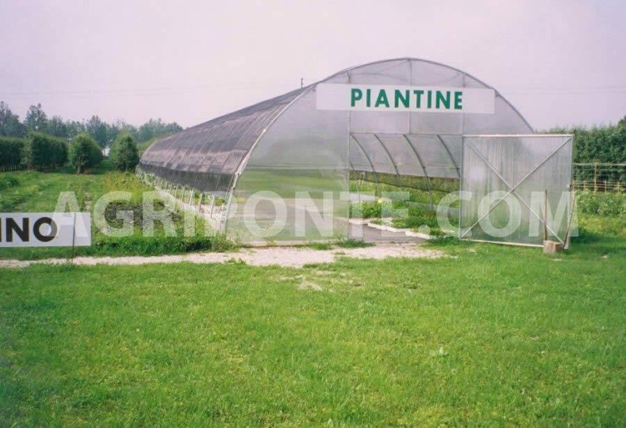 Professional tunnel type greenhouses (model type 2100)