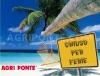 Buone Vacanze!