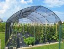 serra laterale dritto da mt 4.50 x.50 con rete ombreggiante1