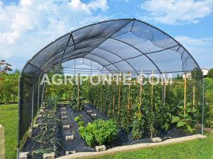 serra laterale dritto da mt 4.50 x.50 ok