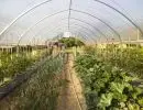 interno serra mt..00