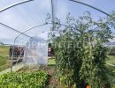 serra laterale dritto da mt  4 50x5 00  2
