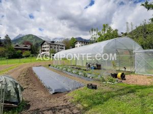 serra laterale dritto mt 4 50 x 9 00  