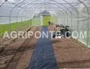 serra mt 4 50 x 9 00 interno serra
