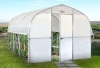 Greenhouses for vegetables