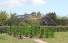 Hailstorm greenhouses