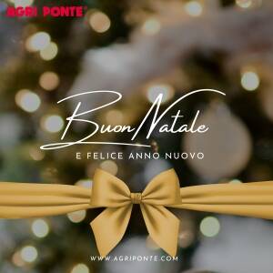 Buone Feste!